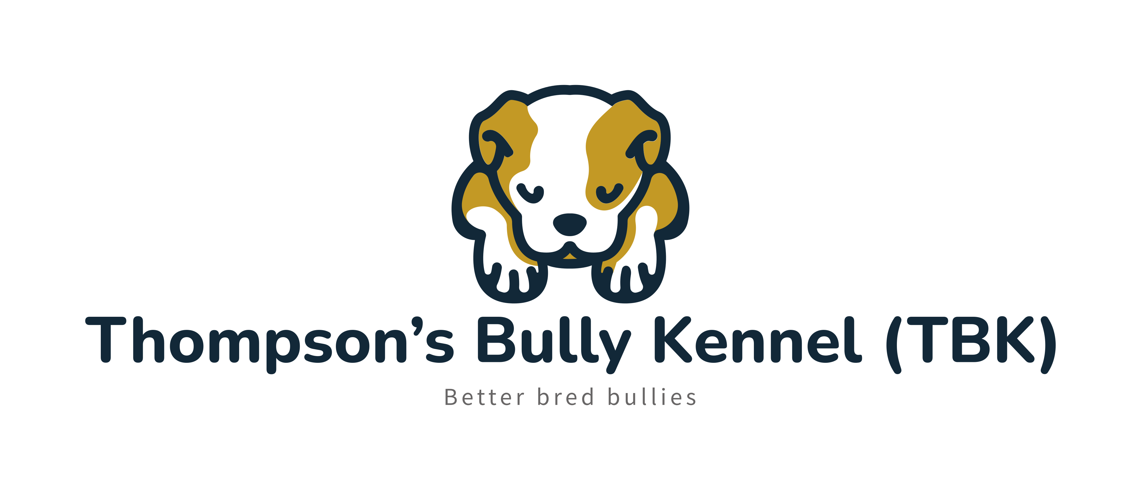 Pictures and videos of our American Bullies.